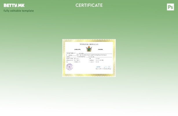 модерен стил Зимбабве венчаница Шаблон за Word и PDF